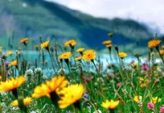 Kashmir Lake